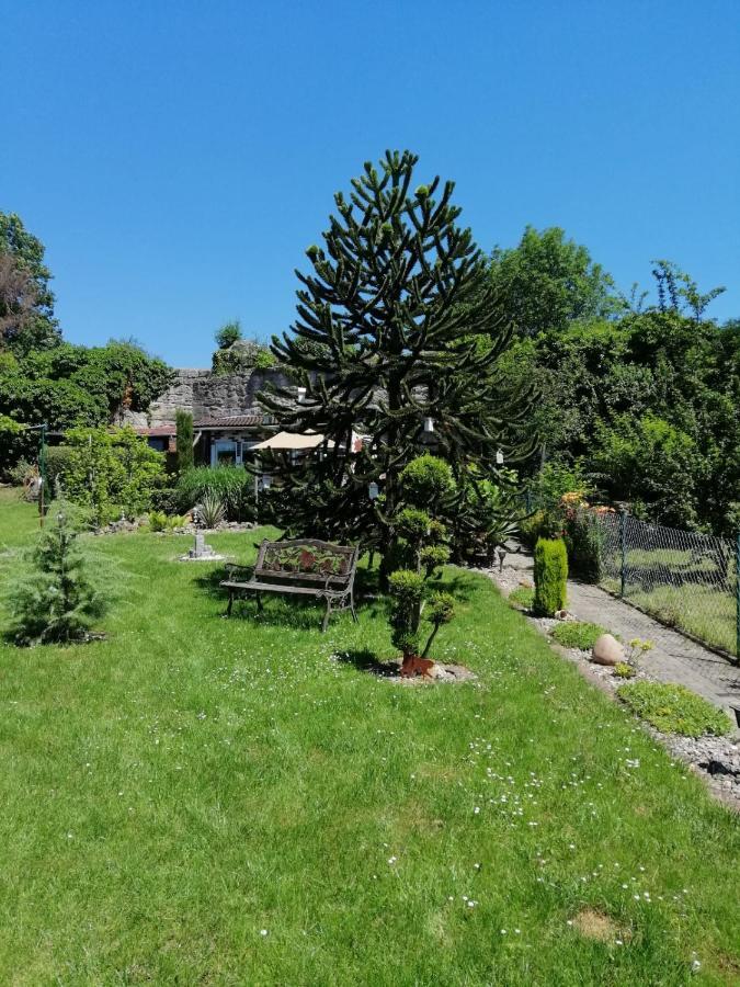 Ferienwohnung Glori' s Fewo groß Bad Sooden-Allendorf Exterior foto